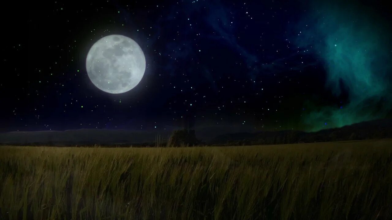Вдали светит луна. Ночное поле. Ночное поле с луной. Поле ночью. Луна над лугом.