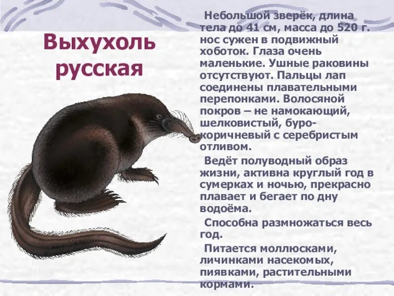 Маленькое сообщение