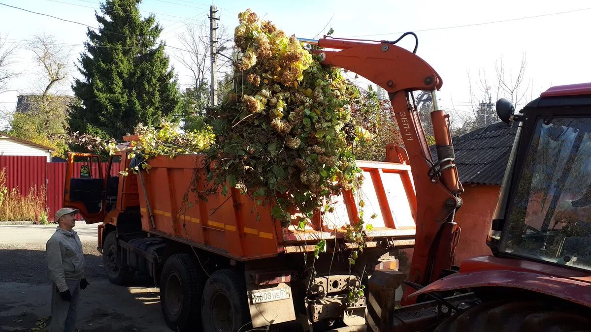 Вывоз веток деревьев. Вывозка веток с. вывоз листвы. вывоз веток с дачного участка.