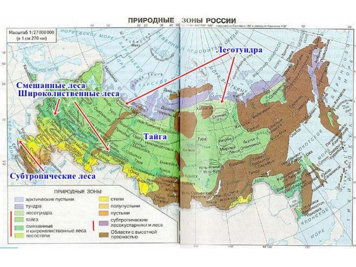 Шпаргалка природные зоны россии 4 класс. Карта природных зон России 4 класс окружающий мир. Карта природные зоны России 4 класс окружающий мир карта. Карта природных зон России 4 класс окружающий мир в учебнике. Карта природных зон мира 4 класс окружающий мир.