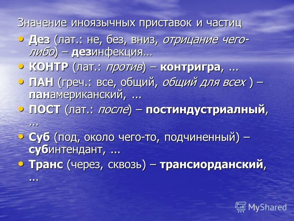 Что значит пане