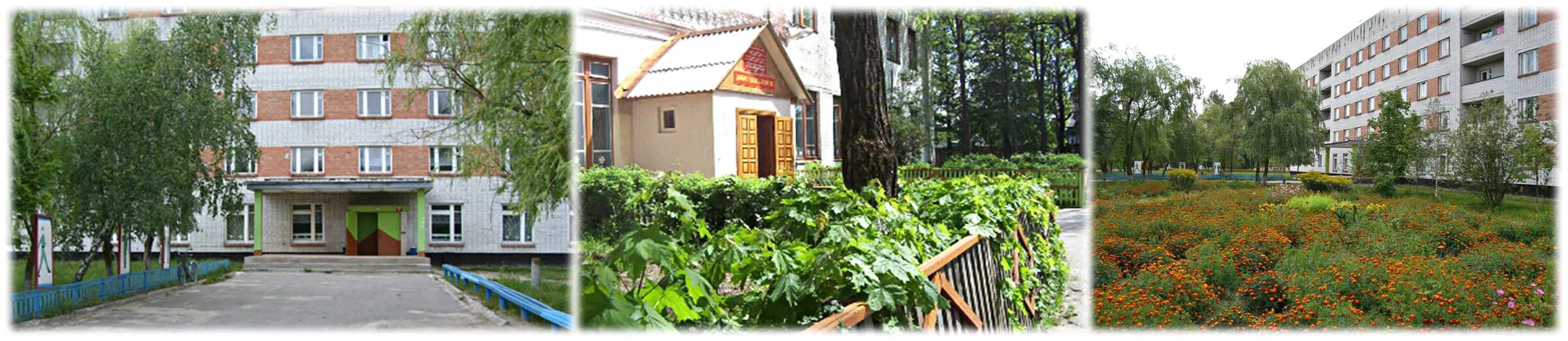 гбпоу мо жуковский техникум. профессиональный колледж московия жуковский. аграрный техникум брянск. авиационная школа г. на гагарина колледж в жуковском.