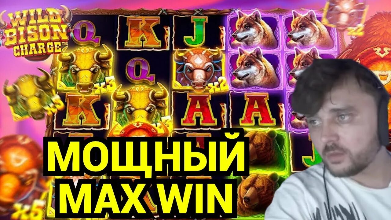 Wild bison charge слот. Wild Bison charge Slot. Wild Bison charge Casino. Дикий заряд. Wild Bison change.