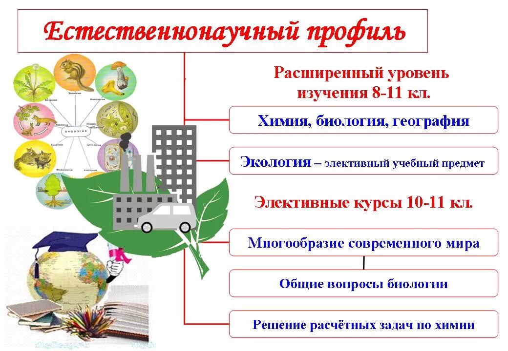 Программа по биологии 4 класс. Профильный класс естественно научный. Естественно-научный профиль в школе. Профильное обучение биологии. Естественнонаучное направление в школе.