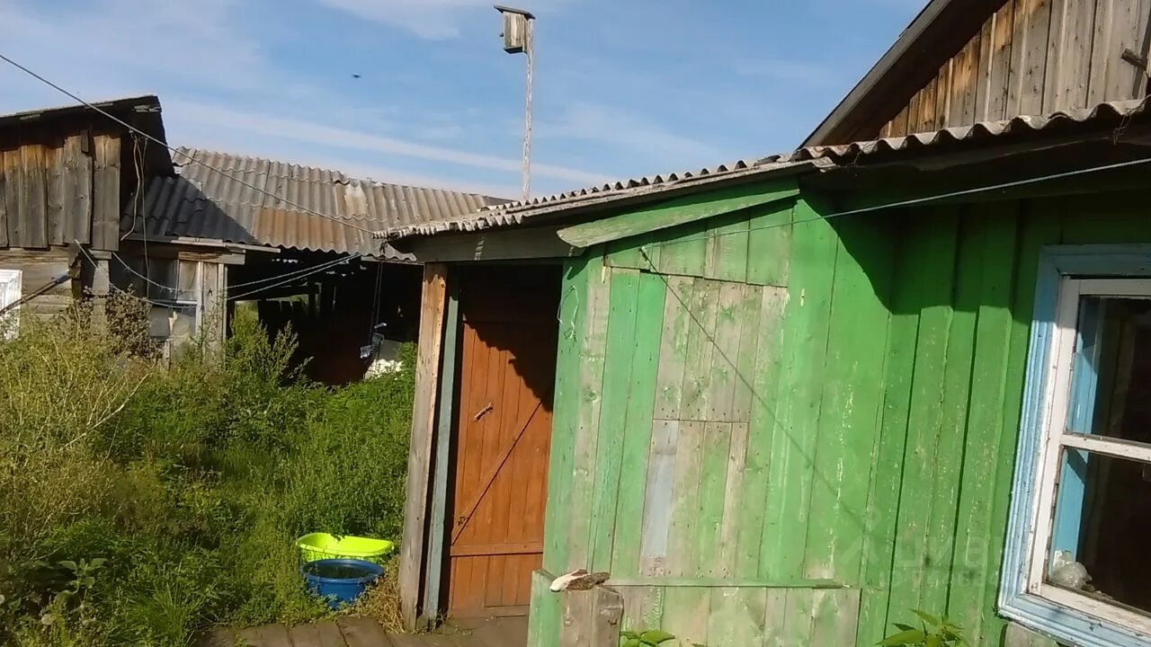 Новопятницкое водохранилище. Село новопятницкое красноярский край. Новопятницкое озеро красноярск. Село новопятницкое красноярский край. Новопятницкое красноярский край озеро.