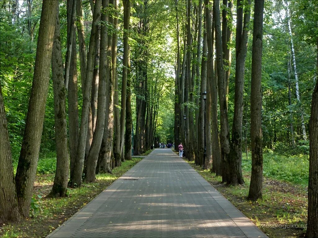 самые красивые скверы москвы. останкинский парк в москве. петровский парк москва. парк сокольники. парк сокольники центральная аллея.