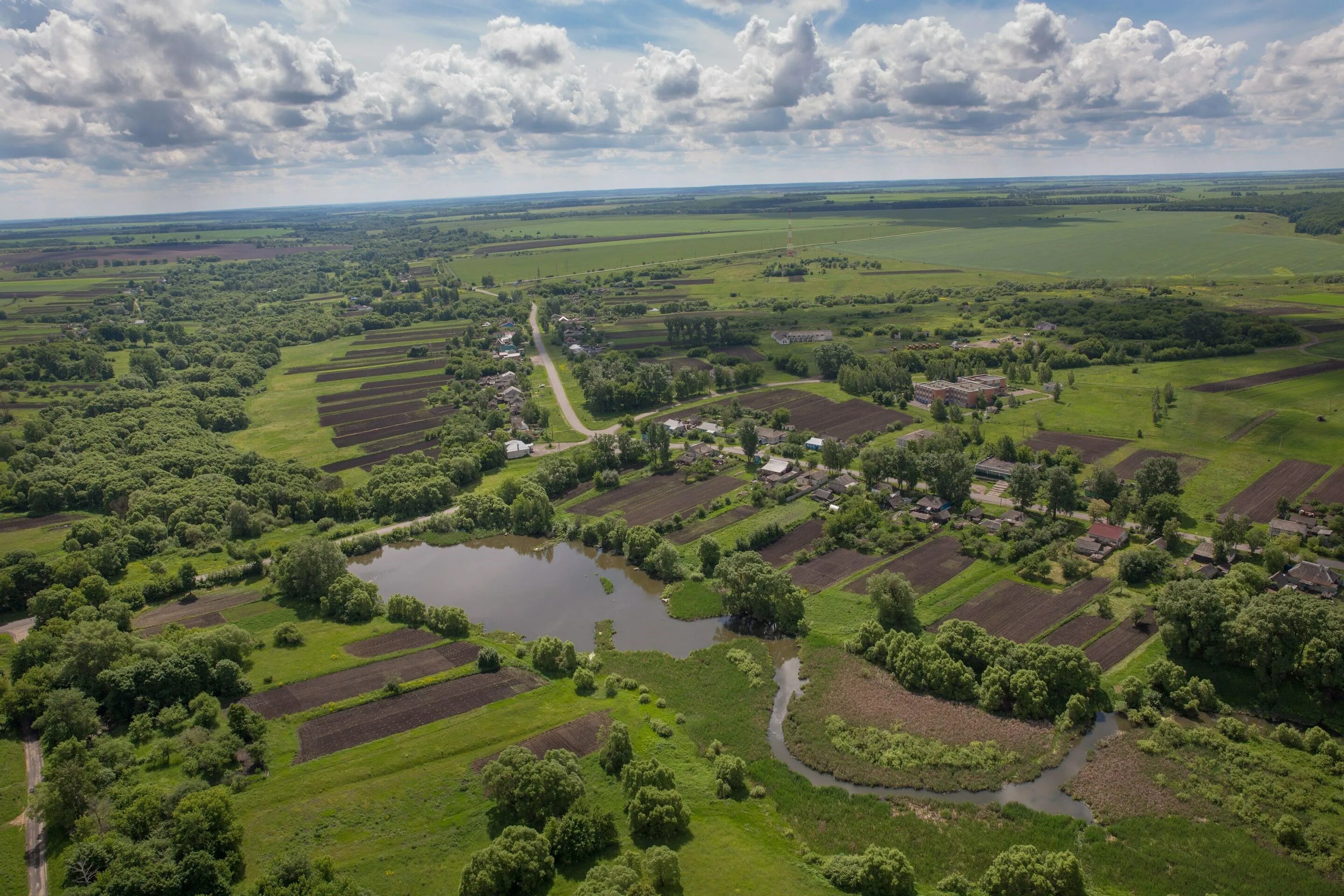 Курская область страна. Село Ольховатка Курской области. Курская область рельеф. Деревня Ольховатое Курская область. Курская область село Кожля.