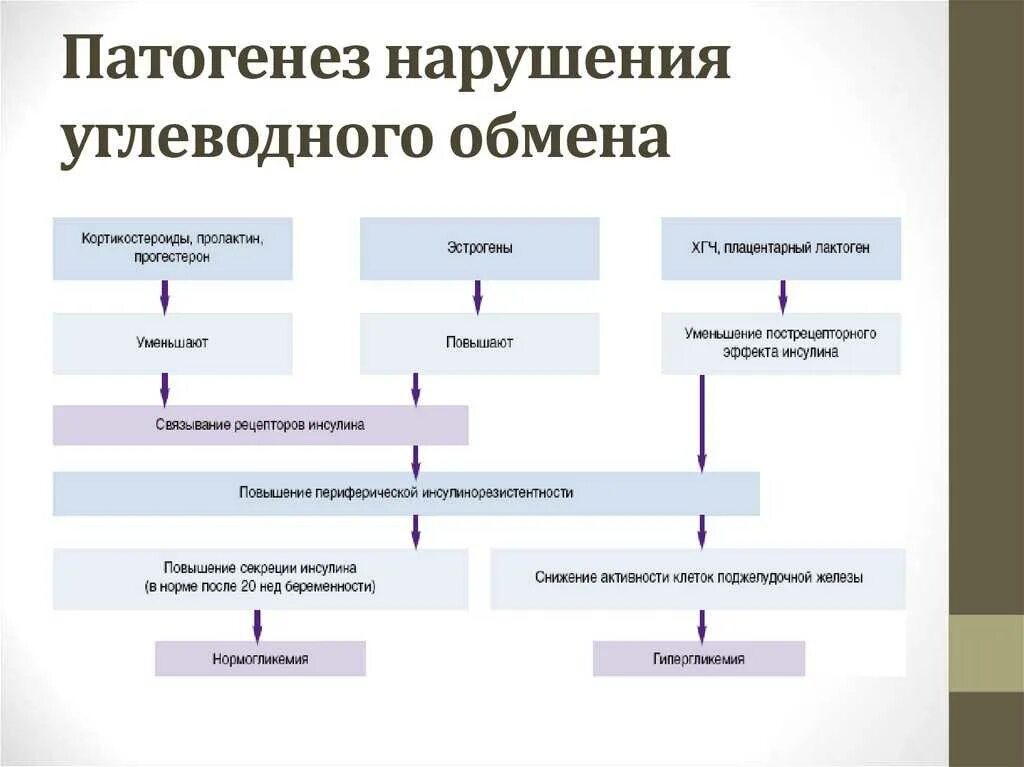 Ответы нмо нарушение обмена серосодержащих аминокислот. Нарушения углеводного обмена схема. нарушение обмена углеводов схема. нарушение углеводного обмена патология. нарушение обмена веществ углеводов.