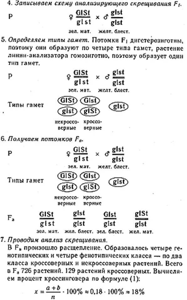 При скрещивании растения кукурузы с нормальными листьями. Наследование генов у растений кукуруза. При скрещивании растения кукурузы с нормальными листьями. При скрещивании растения кукурузы с нормальными листьями. У кукурузы признаки желтых проростков определяемых геном gl.