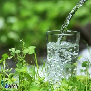 В траве стоит вода
