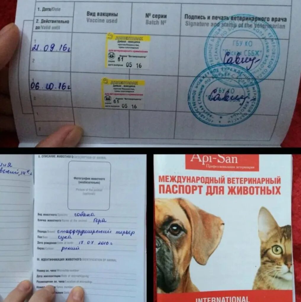 Собачье отчество