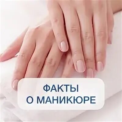 Факты о маникюре. Праймер анализы