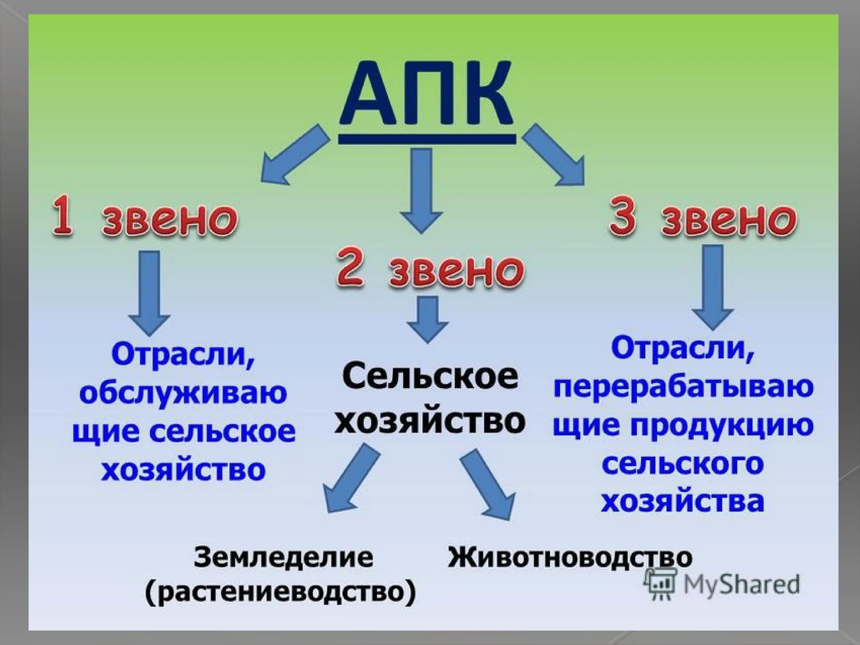 Отрасли первой группы. Схема агропромышленного комплекса России. Схема агропромышленного комплекса география 9. Отрасли АПК. Состав АПК.