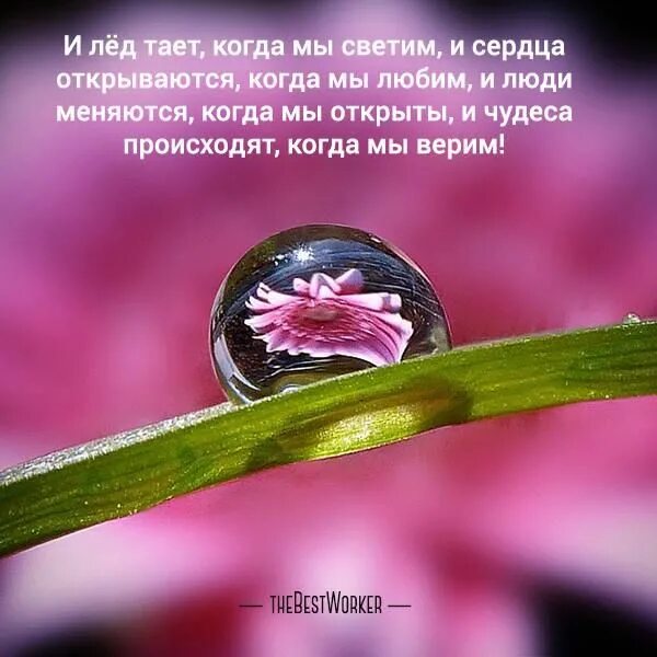 Песня круг когда нибудь растает лед
