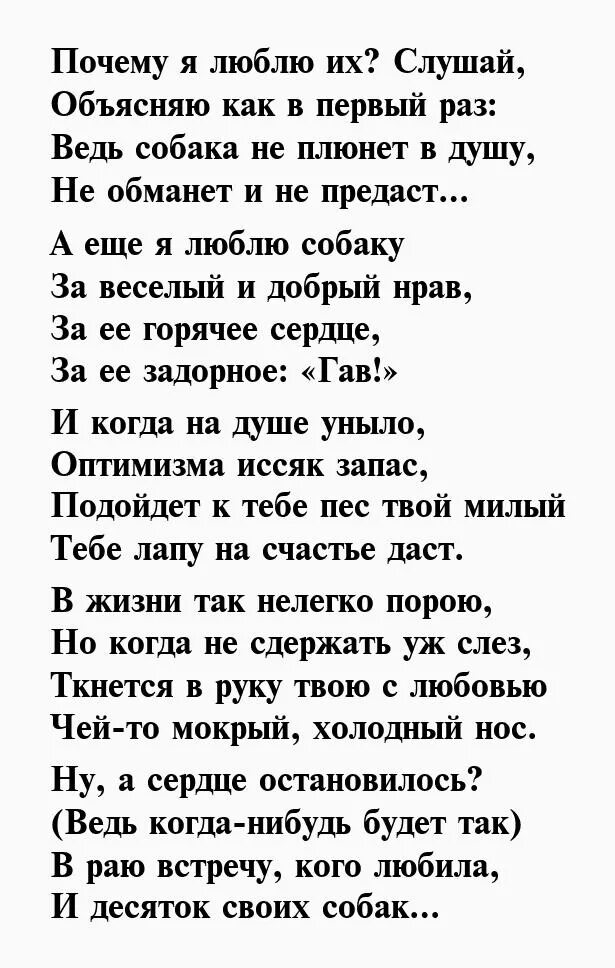 Стих про себя любимого. Стих про себя любимую. Стихи о жизни короткие и красивые. Стихи о жизни и любви.