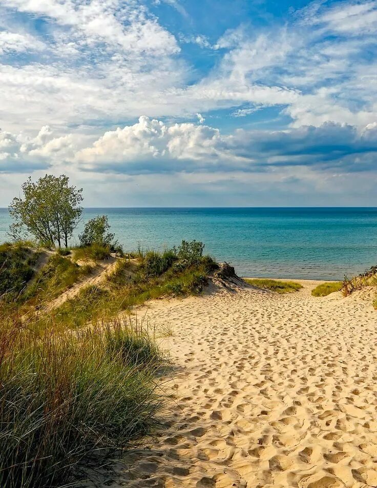 Песчаный берег читать. Абхазия пицунда песчаный пляж. Морское побережье, песок. Песчаный берег читать. Анашенский бор красноярское море.