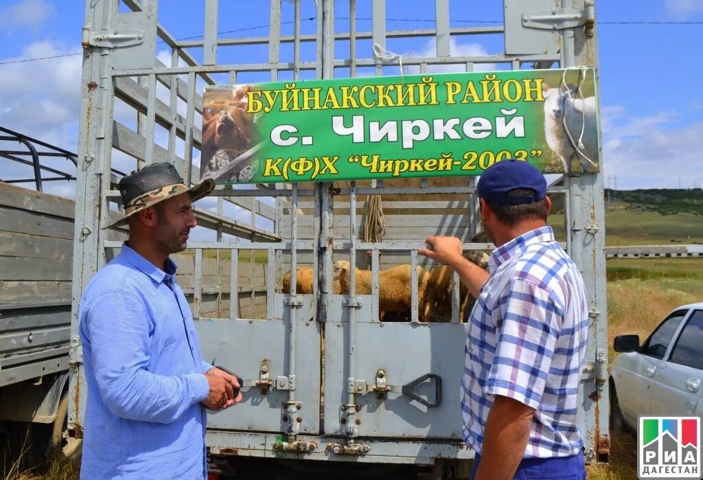 Село Чиркей Буйнакского района. Агропромышленный комплекс Буйнакского района. Баннер на сельхоз ярмарку. Карта новый Чиркей.