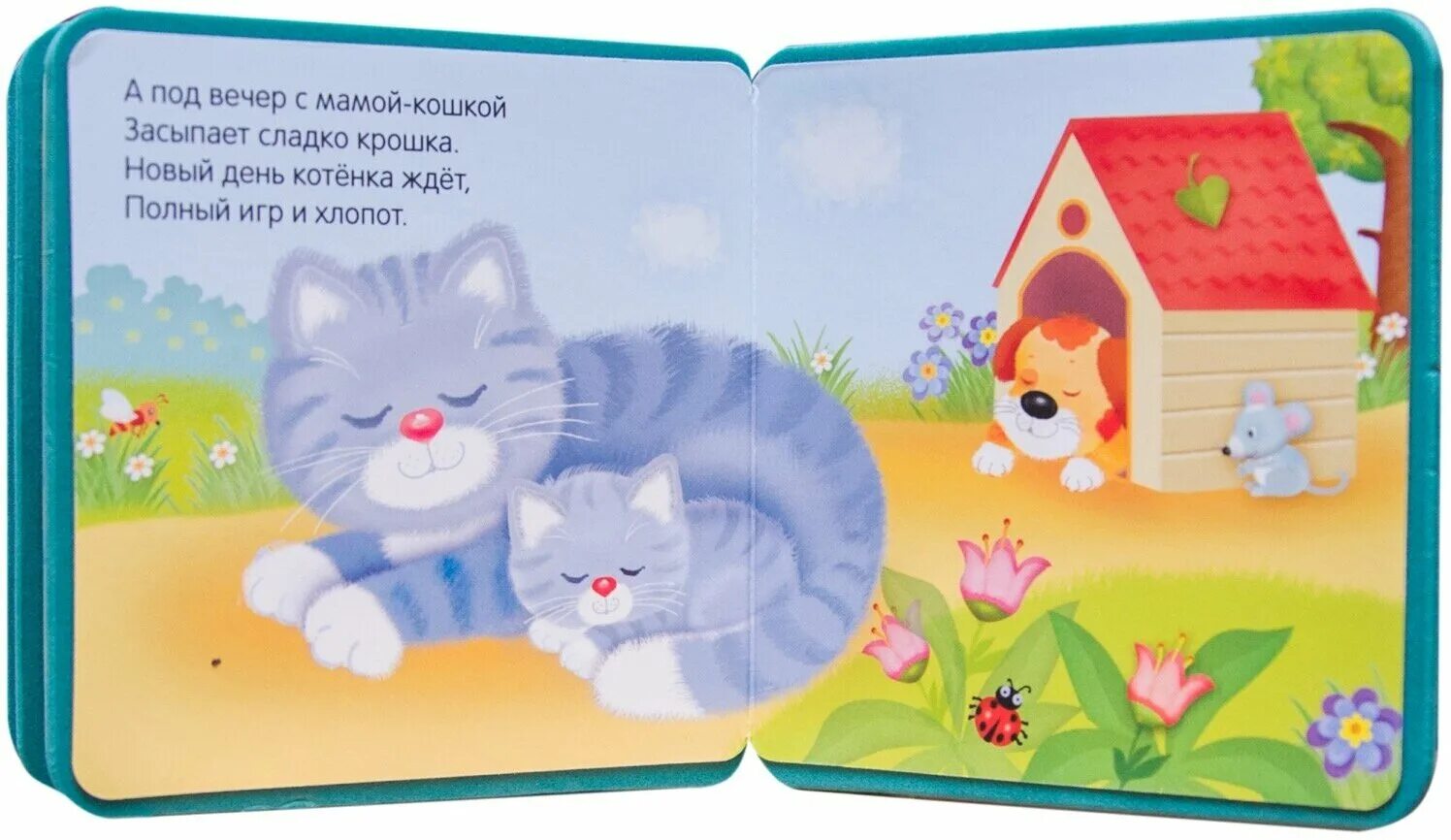 Азбукварик котенок книжка. Мой любимый котенок. Привет котенок. Книги про больших кошек. Мои первые книжки.