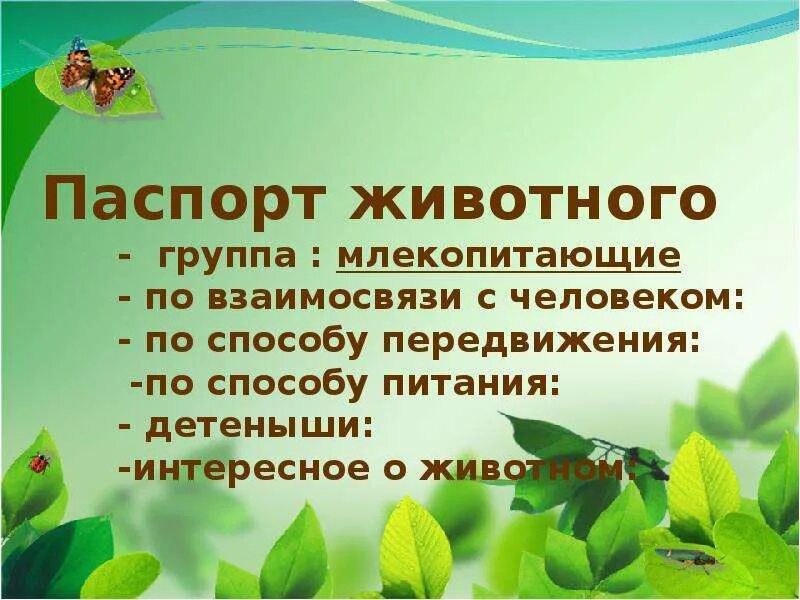 Презентация 2 класс мир животных звери млекопитающие. Млекопитающие презентация 1 класс. паспорт млекопитающего животного. паспорт животного окружающий мир. звери млекопитающие 1 класс.