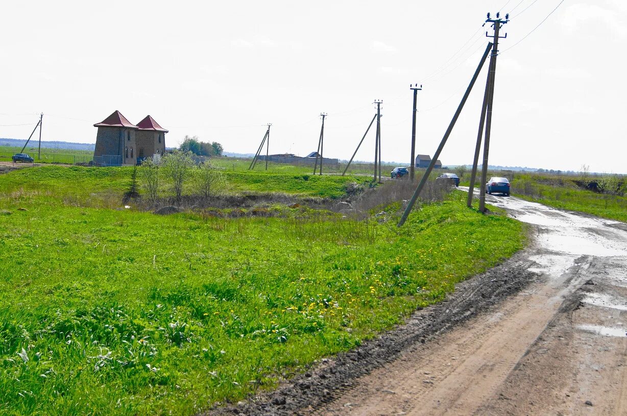 Погода в оржицах ломоносовского района