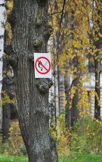 Запрет просмотра