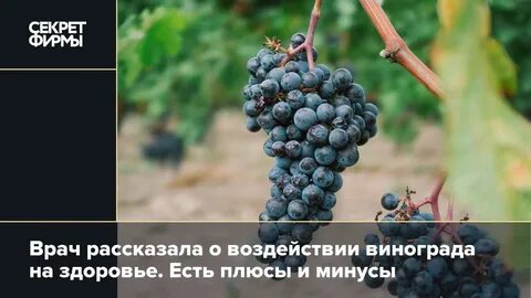 Минусы винограда