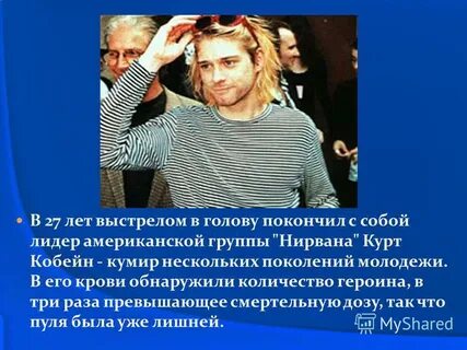 Почему курт