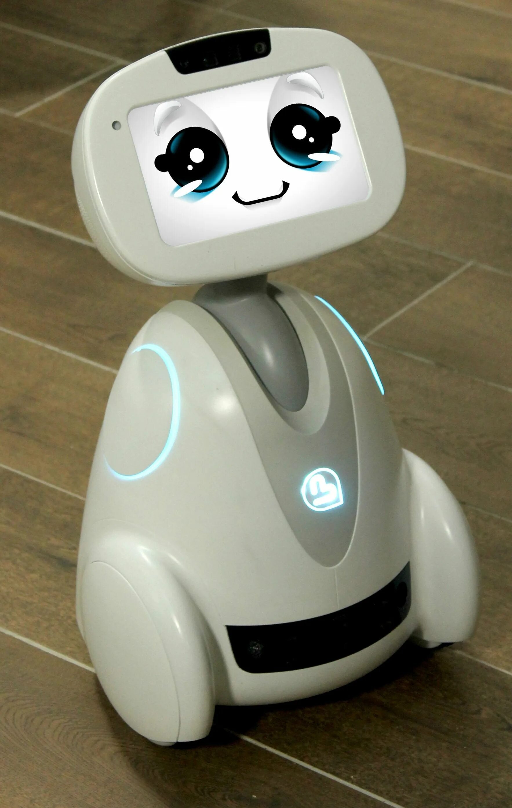 Робот buddy. Робот бадди. Робот бадди игрушка. Робот бадди. Робот бадди.