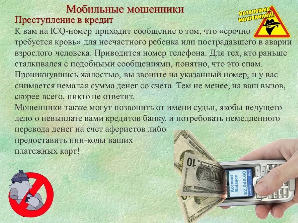 Защита от интернет мошенничества проект