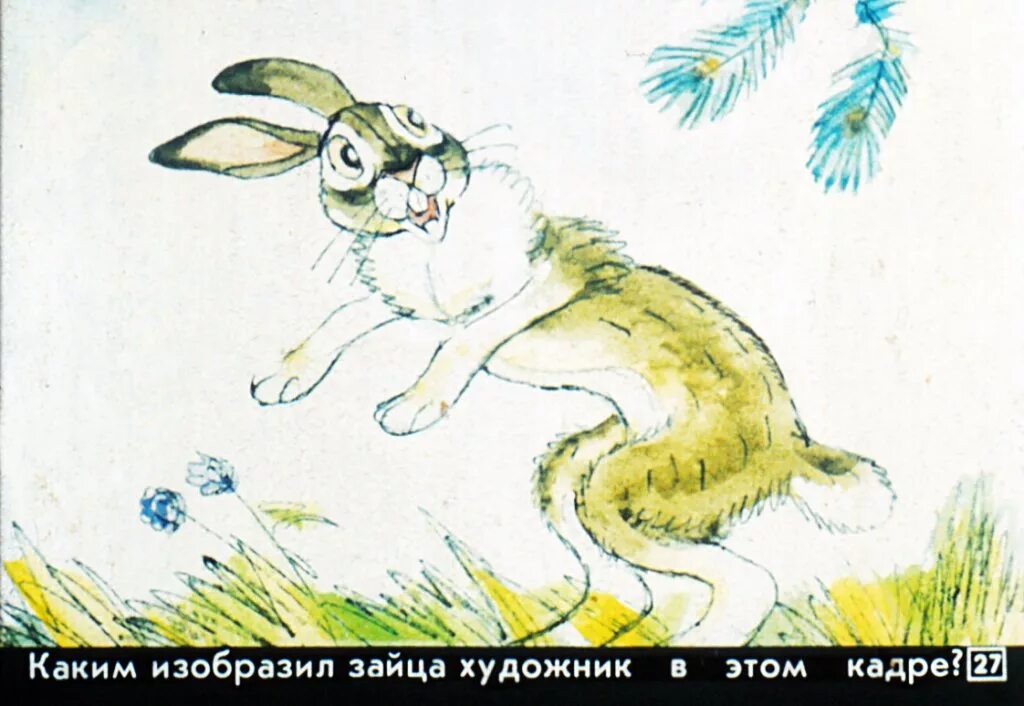 Заяц косые глаза длинные уши короткий хвост. Храбрый заяц Муса Джалиль. Сказка про храброго зайца. Мамин-Сибиряк заяц-хвастун. Храбрый заяц Сутеев.