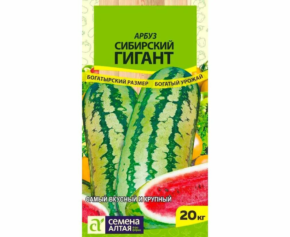 Арбузы-гиганты вырастила возле дома жительница Барановичей