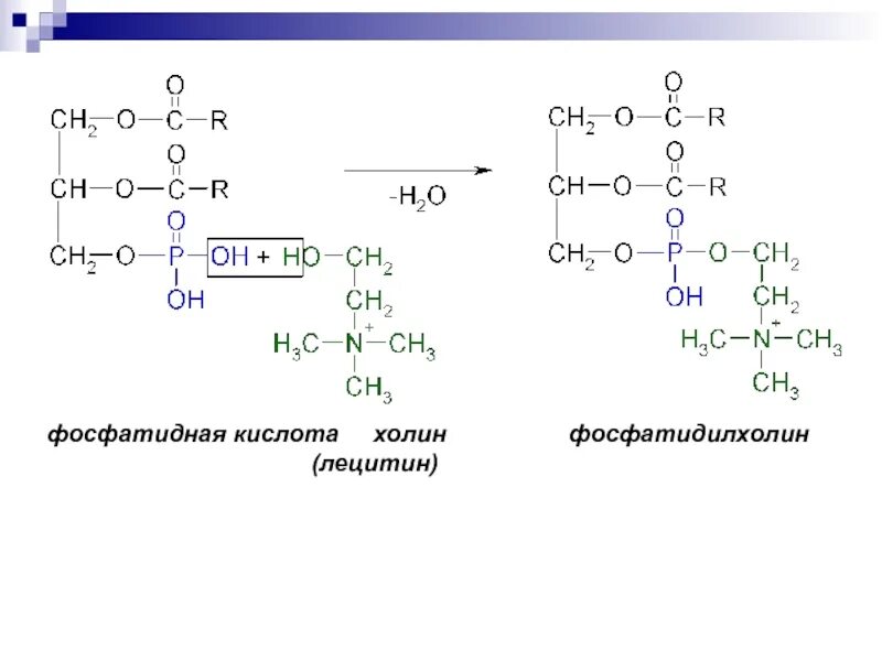 Фосфатидная кислота формула. Метионин + фосфатидная кислота=фосфатидилхолин.. Фосфатидная кислота биохимия формула. Фосфатидная кислота строение формула. Фосфатидилхолин это