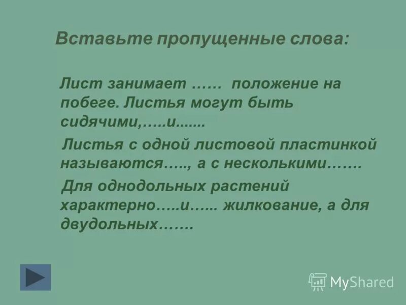 Какое положение занимает лист на побеге. Какое положение занимает лист. Строение ,функции стебля,листьев,почек. Какое положение занимает лист на побеге. Какую функцию у побега выполняют листья.
