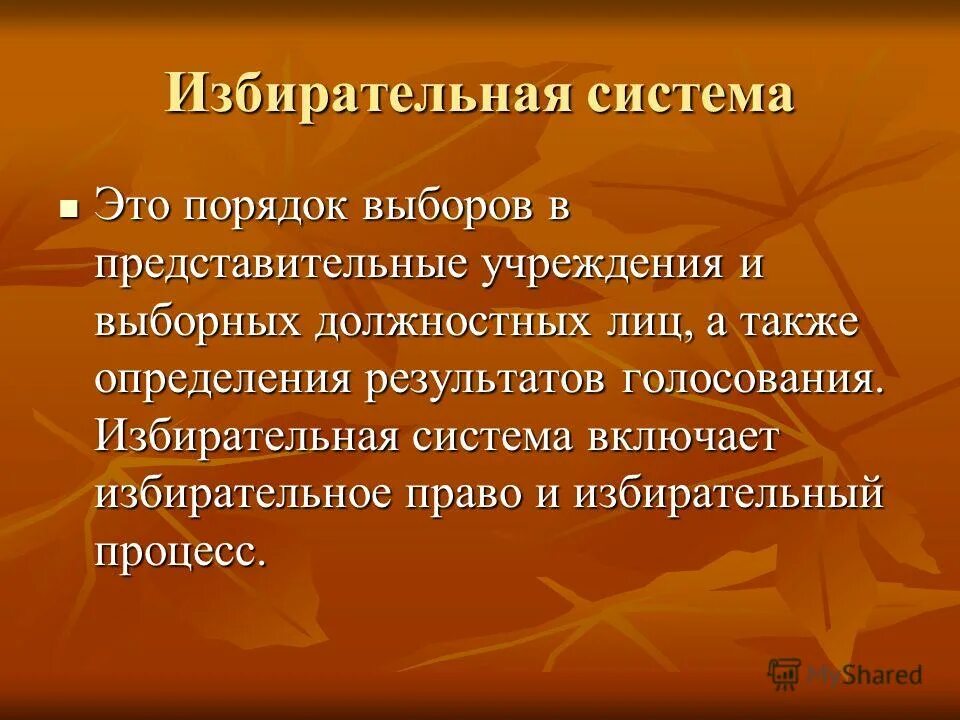 Порядок выборов в представительные учреждения и выборных