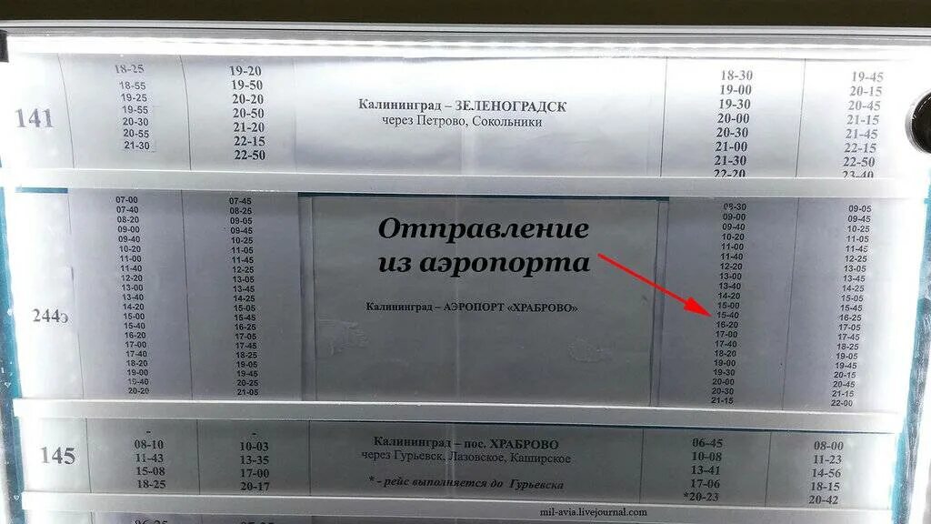 Автобус южный зеленоградск. Расписание автобуса 244 Калининград-аэропорт Храброво. 244э Калининград Храброво аэропорт. 244э аэропорт Калининград автобус. Автобус Светлогорск аэропорт Храброво.