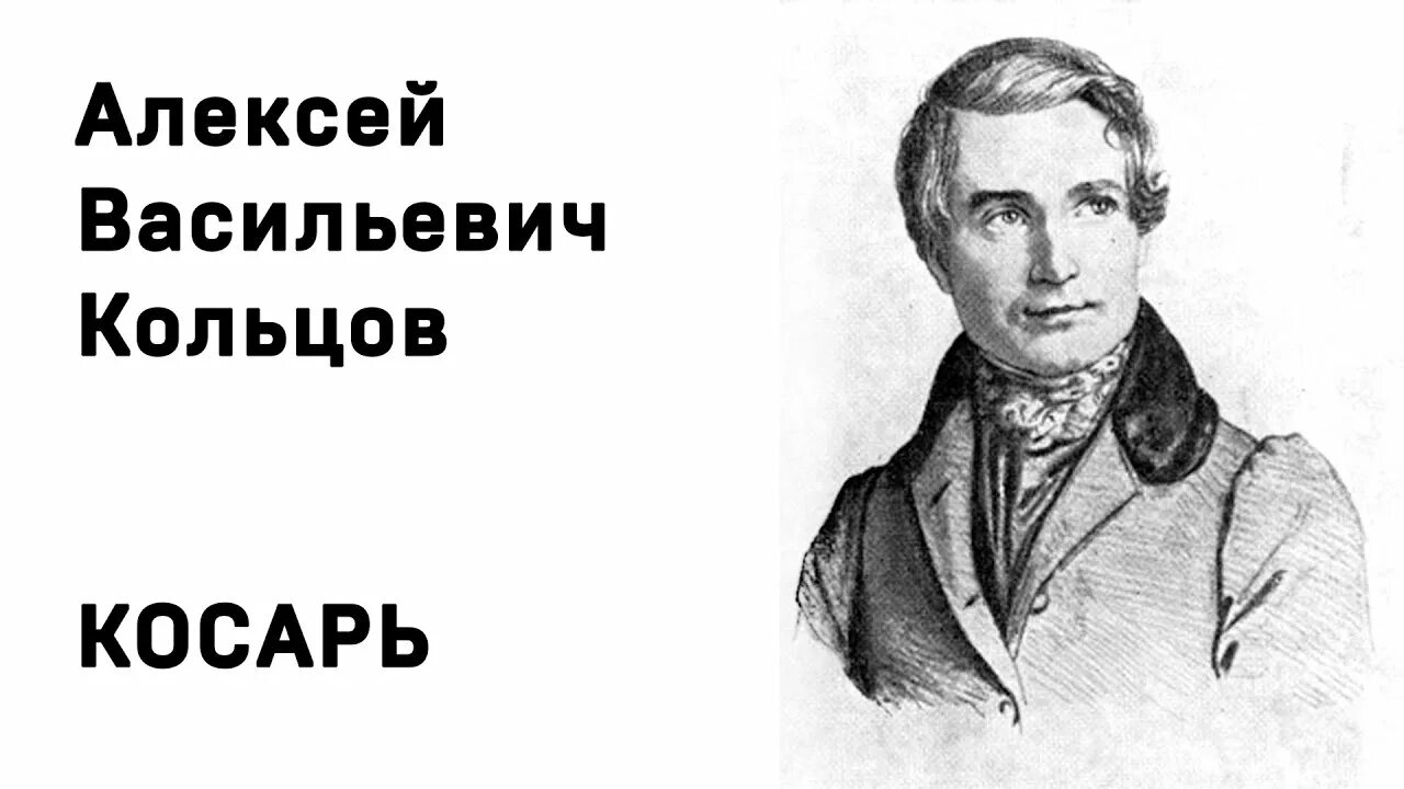 Прочитать стихотворение косарь. Стихотворение Алексея Васильевича Кольцова косарь. Косарь Кольцов стихотворение.