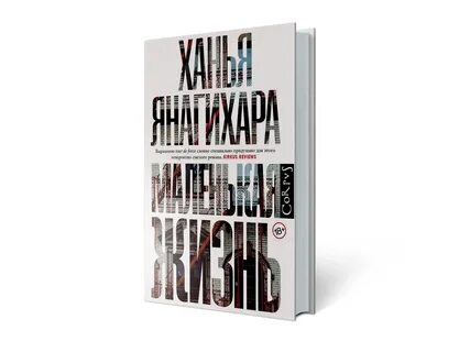Маленькая жизнь содержание