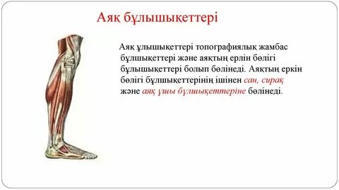 Фанфик порно жұлдызы