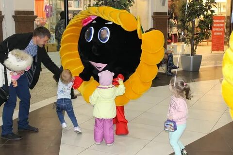 Подсолнух норильск
