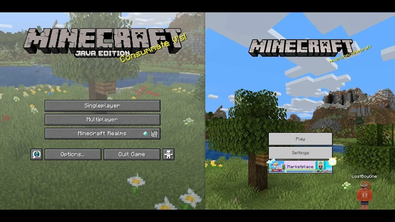 Minecraft java Bedrock. Майнкрафт java Edition. Java vs Bedrock Edition. Майнкрафт java или Bedrock. Minecraft пк java