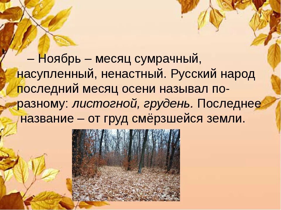 Происхождение месяца ноябрь. Ноябрь презентация. Описание ноября. Рассказ про ноябрь. Ноябрь поговорка