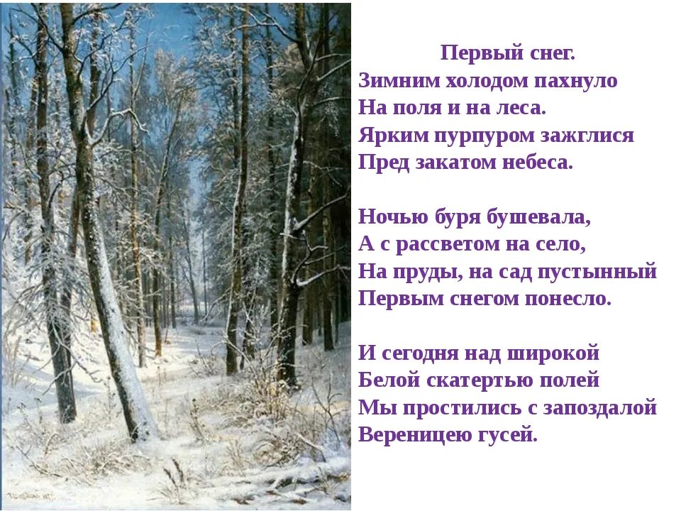 По утрам легкий холодок. Первый снег стихотворение. Стих 1 снег. Стихи о первом снеге. Стихи про снег.
