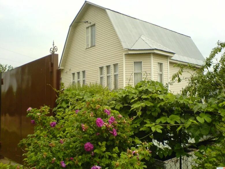 Ухоженная дача в подмосковье. Дачный домик по ярославке. Арендовать дачу на лето. Дача на сдачу. Дача на лето в подмосковье.