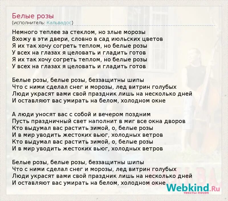 Песня музыка роз слова. Белые розы текст текст песни. Белые розы тес. Белые розы слова песни текст. Белы розы текси.