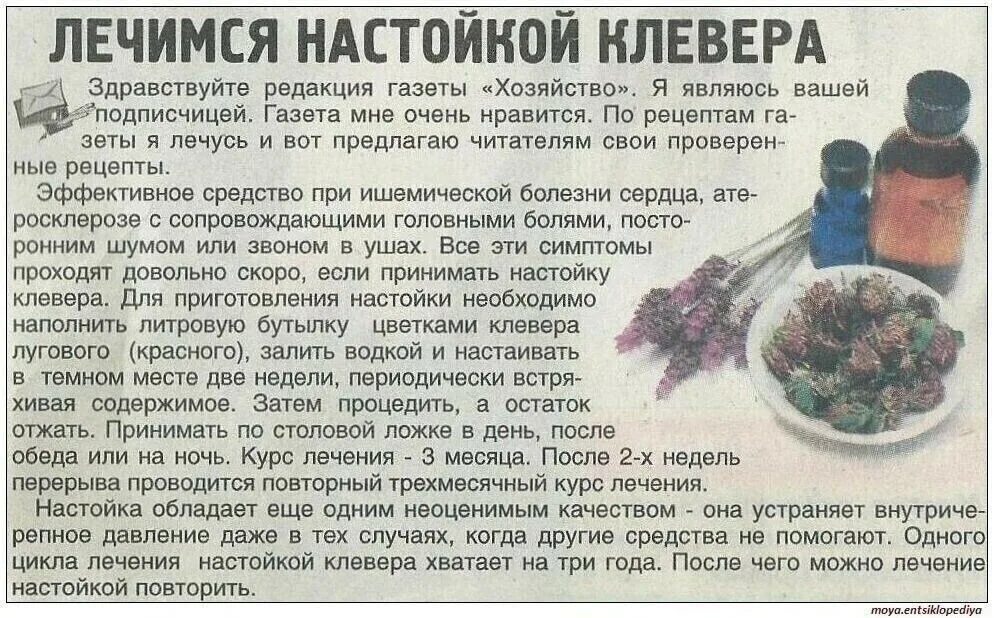 Простата рецепты. Народные рецепты. Рецепты народной медицины. Экстракт красного клевера настойка. Настойка на клевере рецепт.