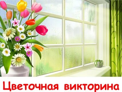 Я сегодня увидала