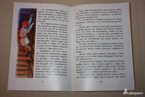 Читать жучку