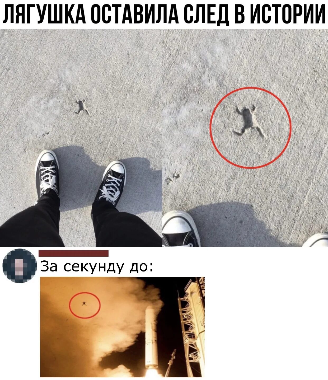 Как разглядеть за днями след