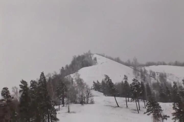 белые снеги. стихотворение идут белые снеги. белые снеги. печерских куса. идут белые снеги.