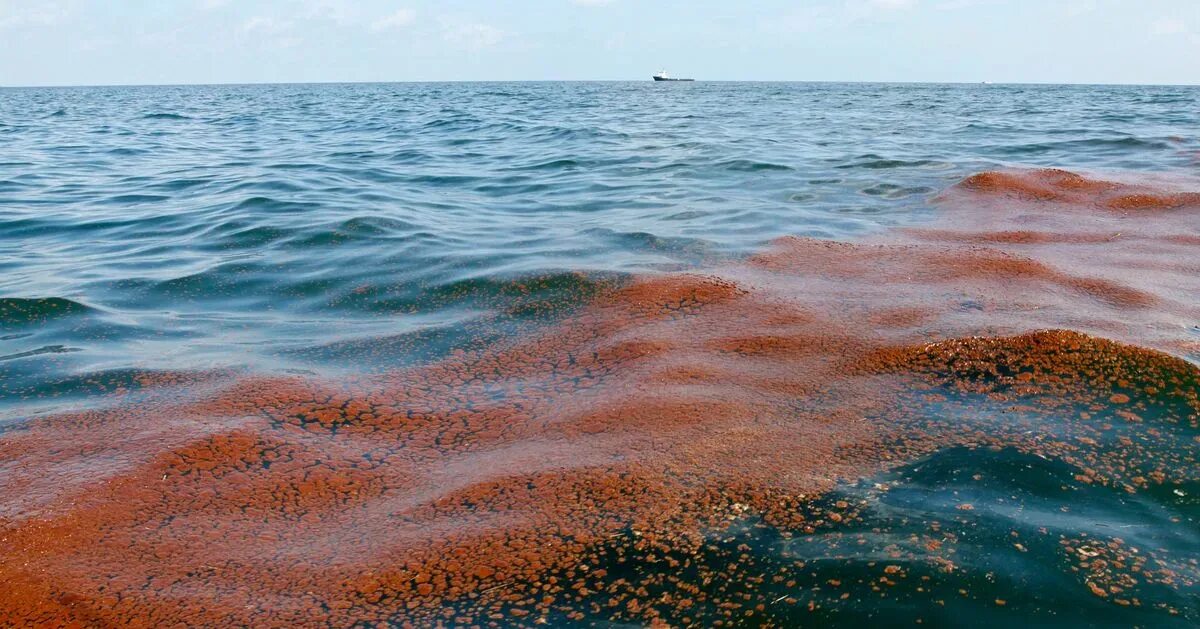 Повышение воды в океане